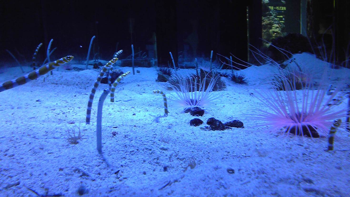 レビュアーのカバー画像