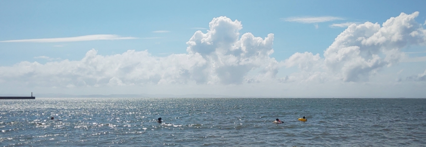 レビュアーのカバー画像