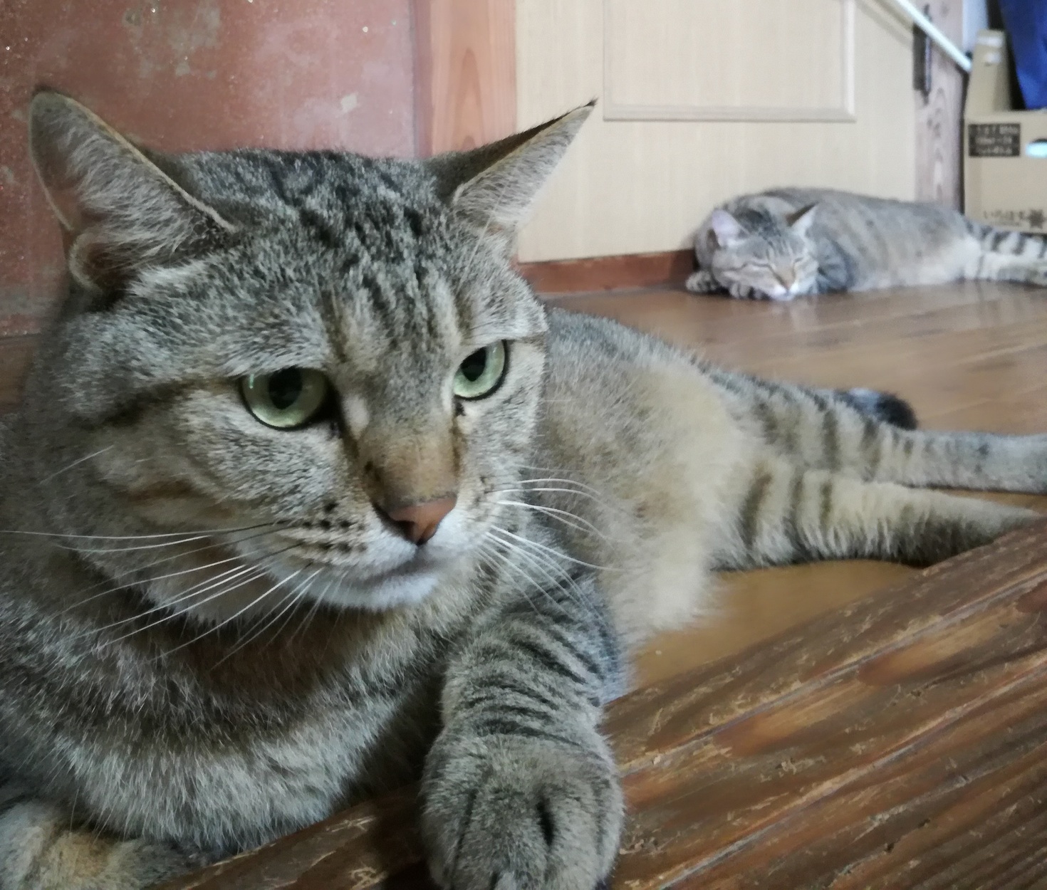 レビュアーのカバー画像