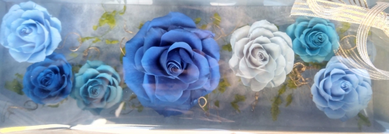 レビュアーのカバー画像