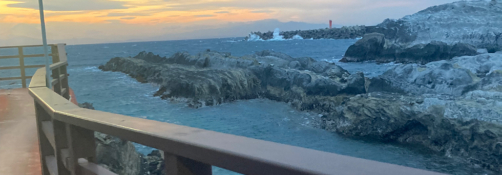 レビュアーのカバー画像