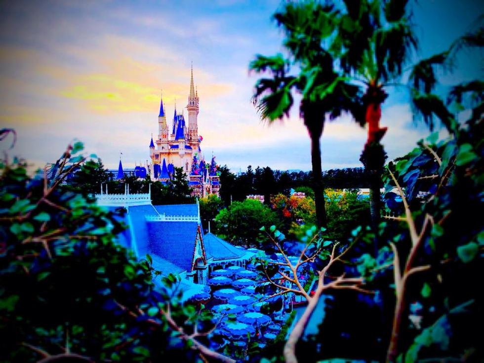 レビュアーのカバー画像