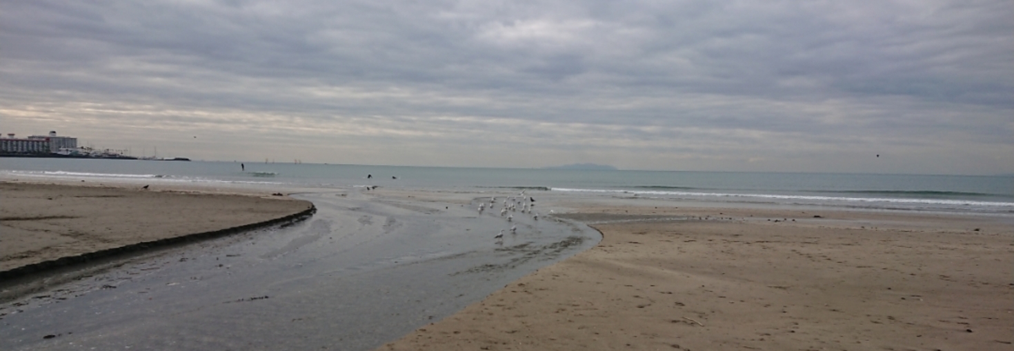 レビュアーのカバー画像