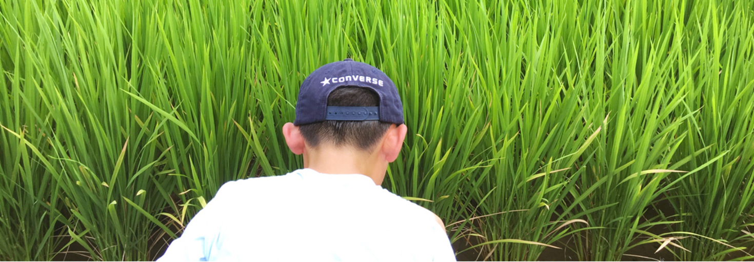 レビュアーのカバー画像