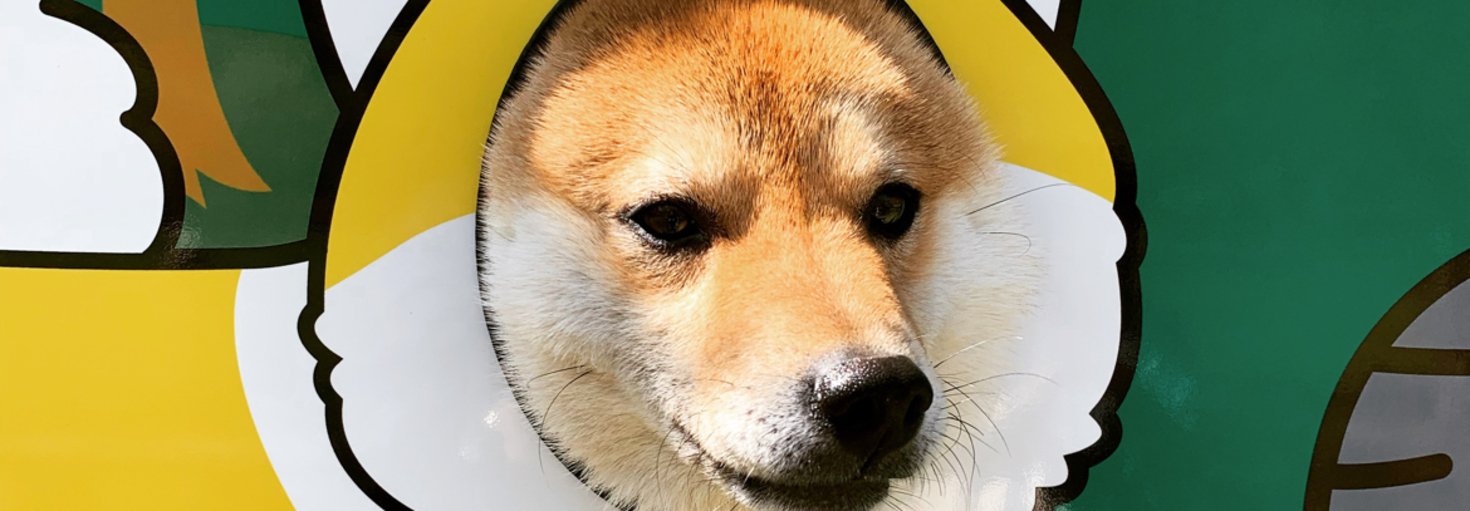 レビュアーのカバー画像