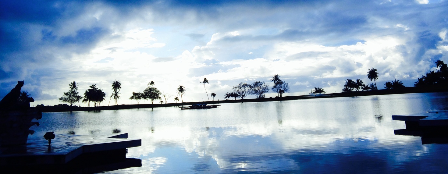 レビュアーのカバー画像