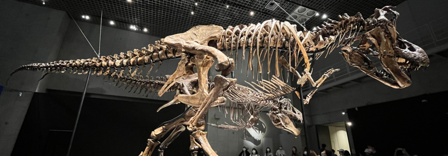 レビュアーのカバー画像