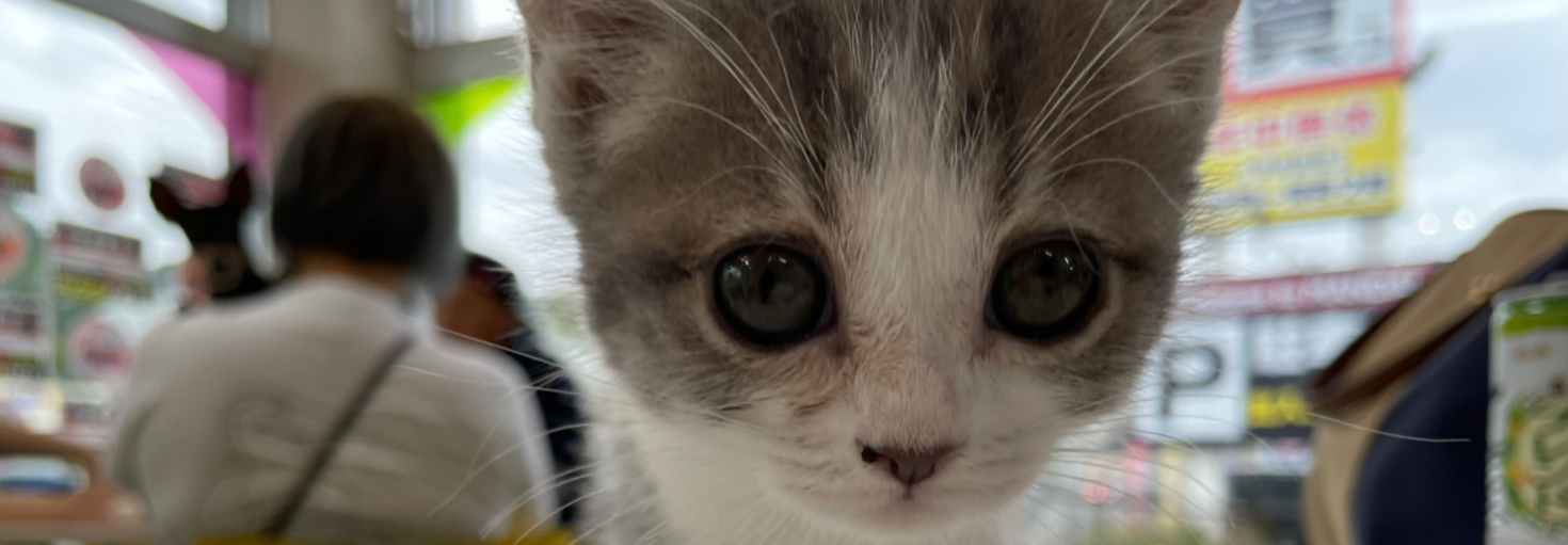 レビュアーのカバー画像