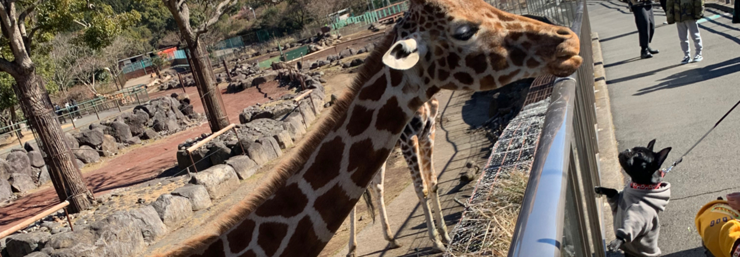 レビュアーのカバー画像