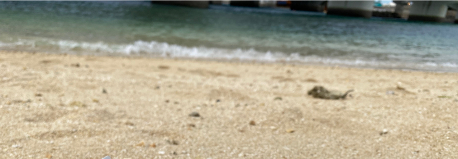 レビュアーのカバー画像