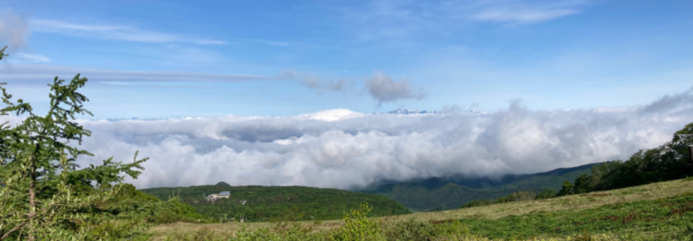 レビュアーのカバー画像