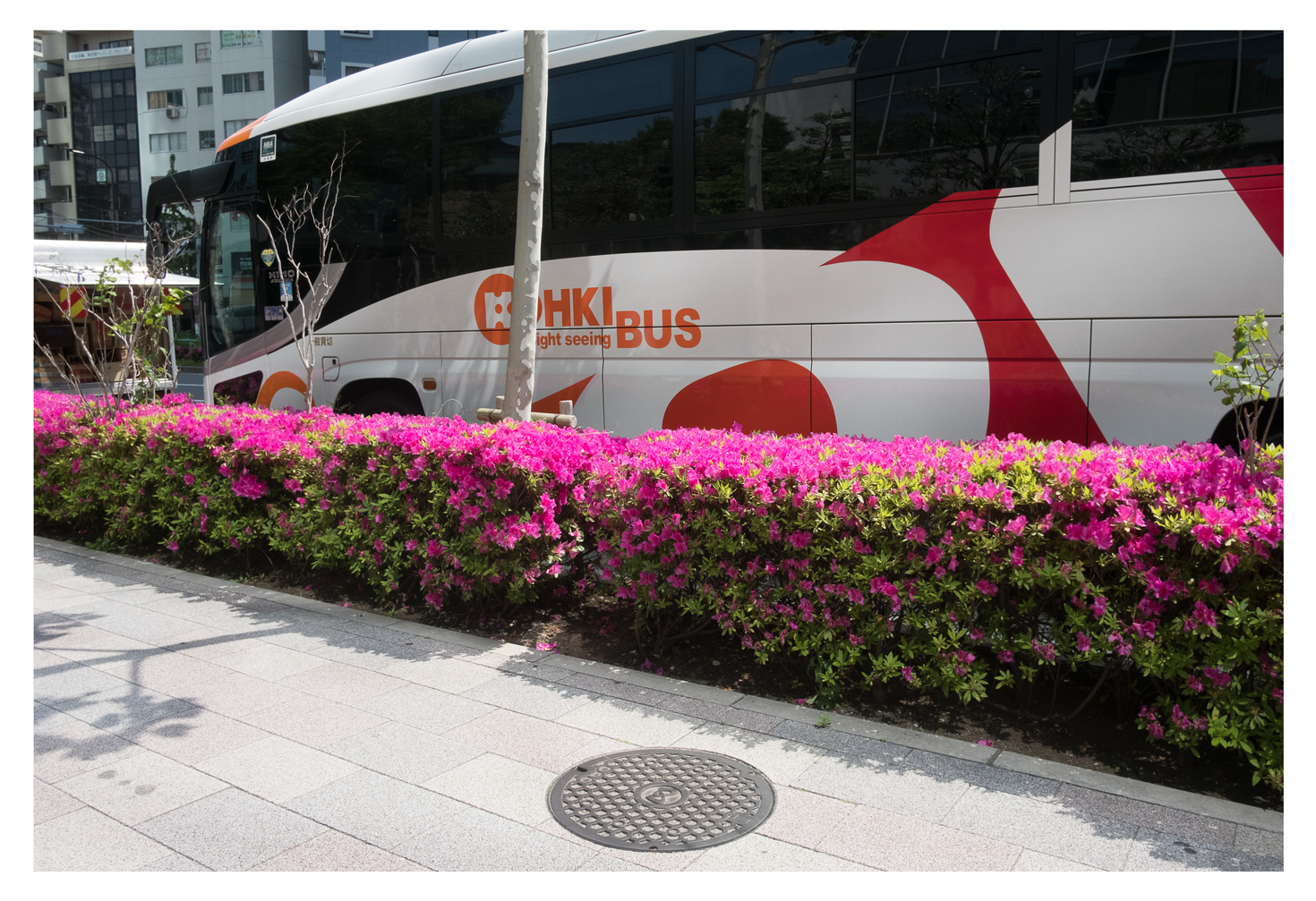 レビュアーのカバー画像