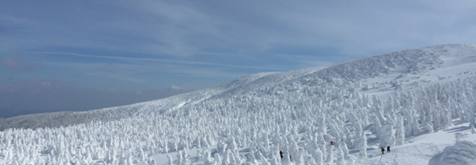 レビュアーのカバー画像