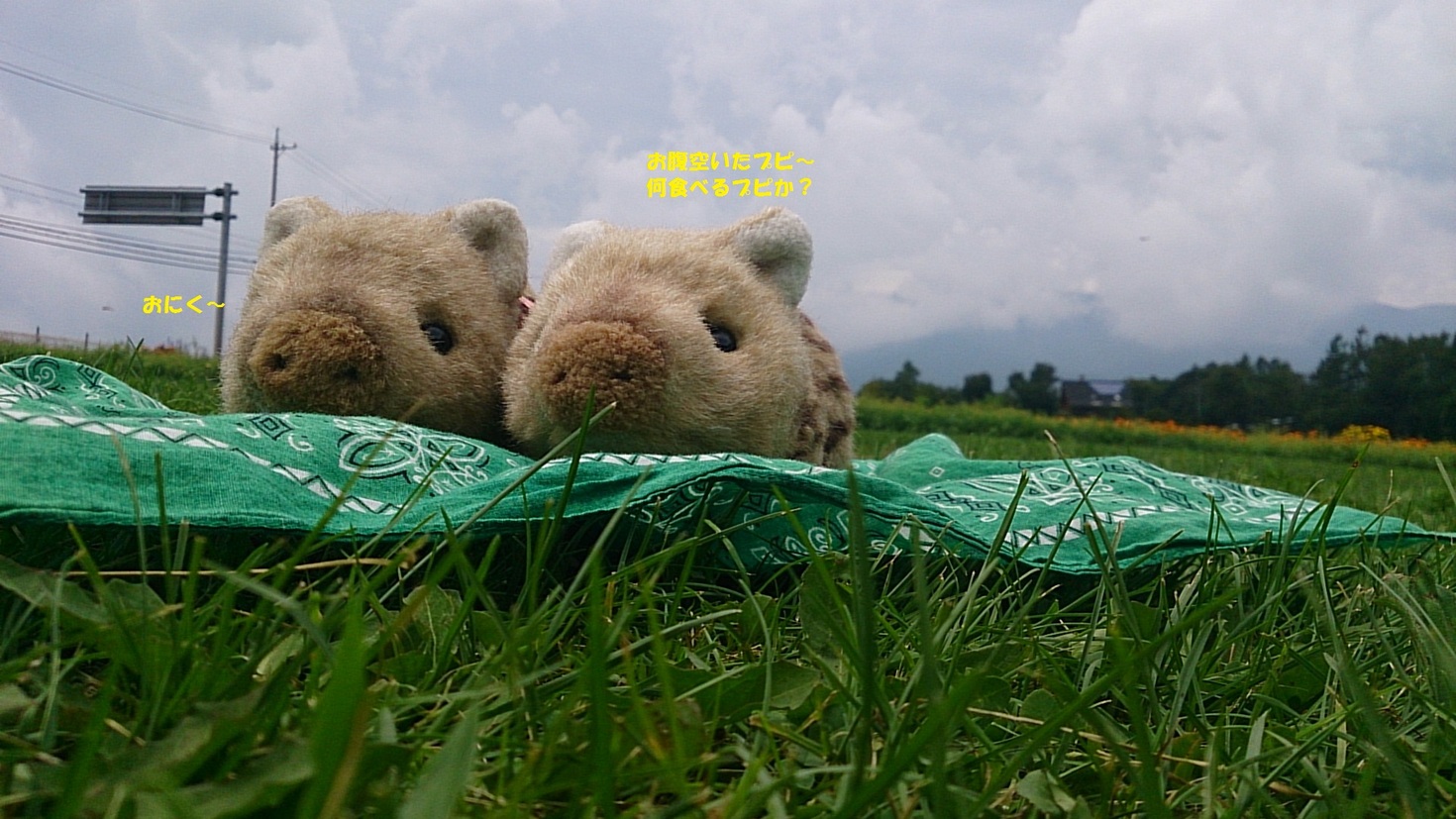 レビュアーのカバー画像