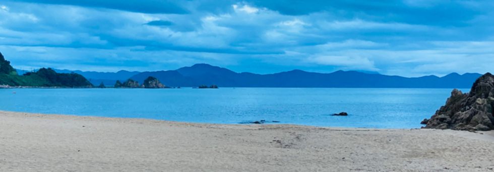 レビュアーのカバー画像