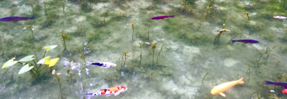 レビュアーのカバー画像