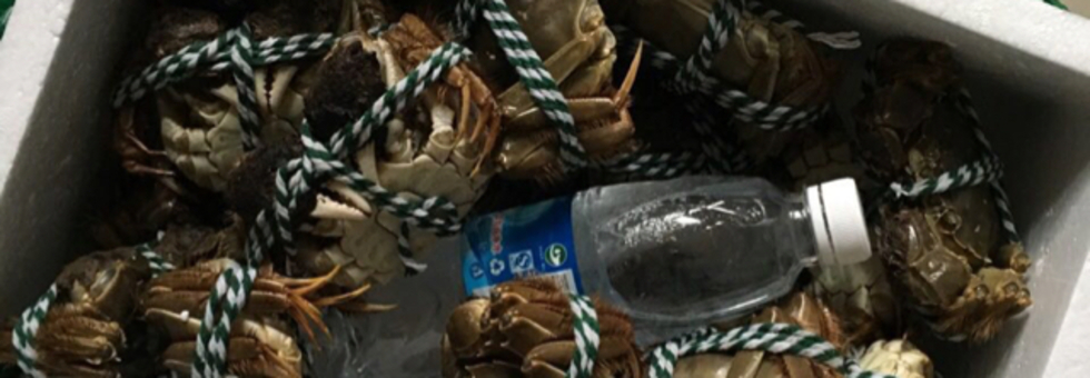 レビュアーのカバー画像