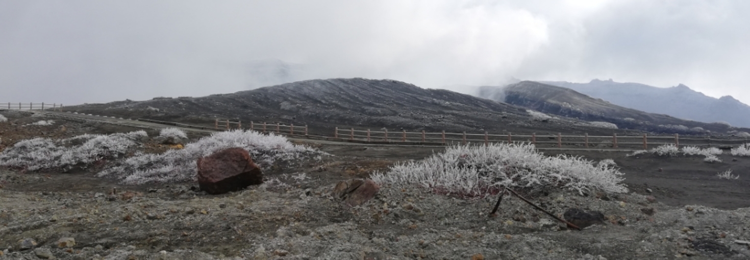 レビュアーのカバー画像