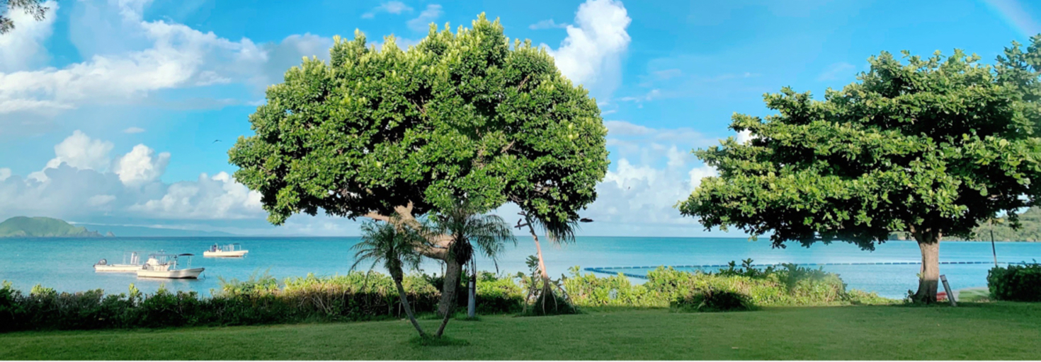 レビュアーのカバー画像