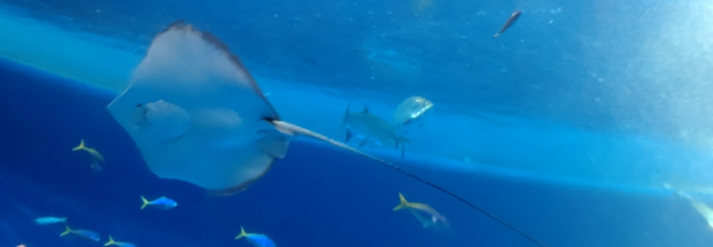 レビュアーのカバー画像