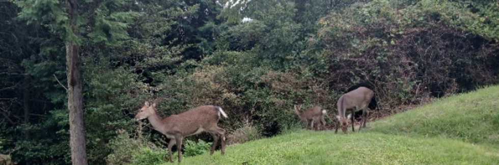 レビュアーのカバー画像