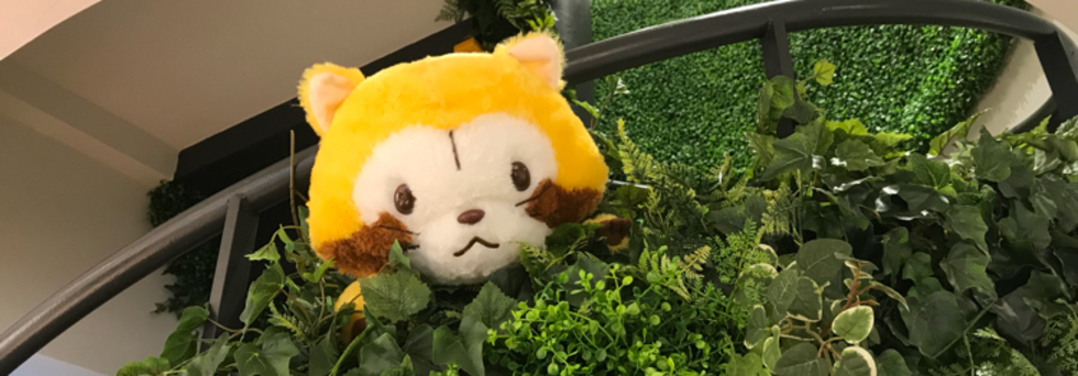 レビュアーのカバー画像