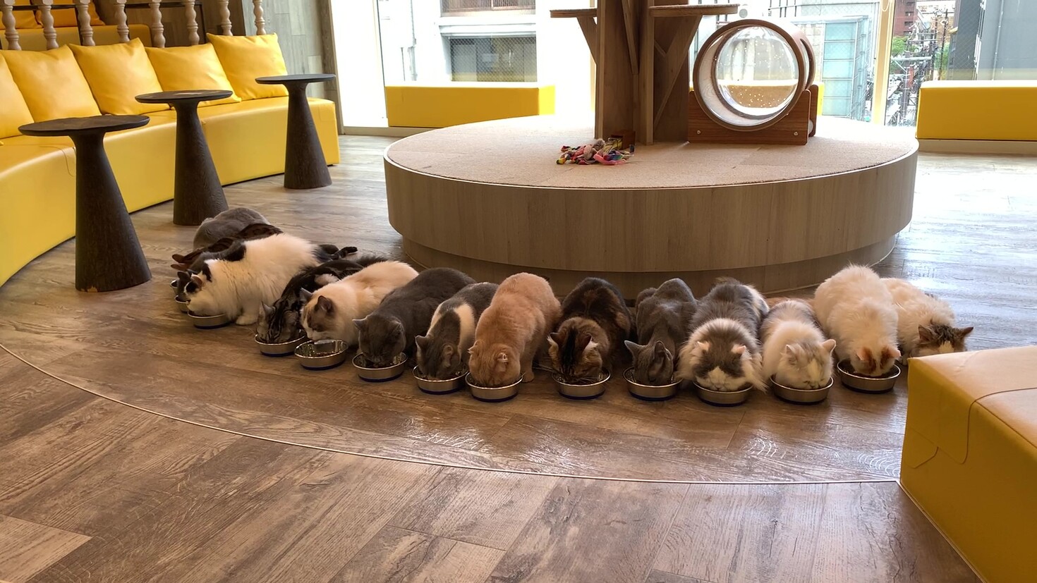 レビュアーのカバー画像