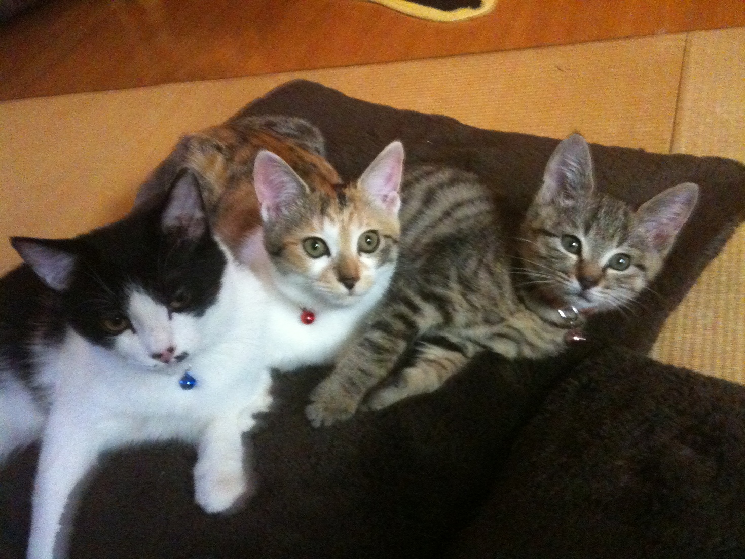 レビュアーのカバー画像