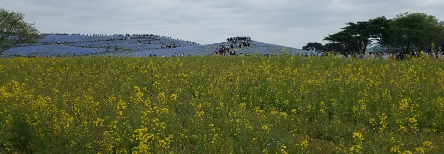 レビュアーのカバー画像