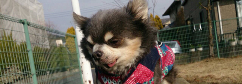 レビュアーのカバー画像