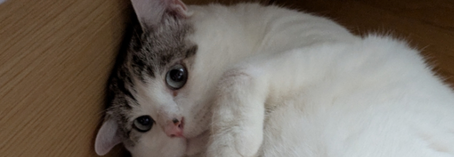 レビュアーのカバー画像