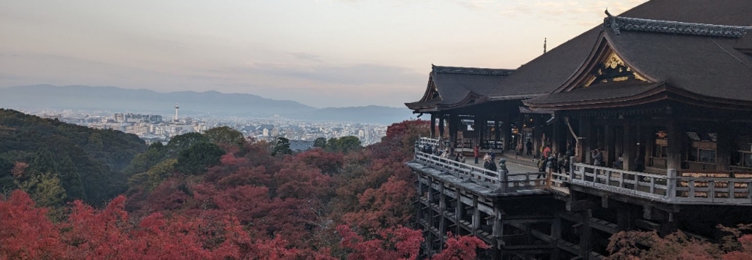 レビュアーのカバー画像