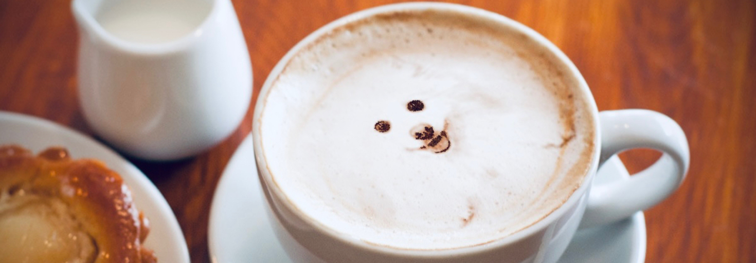 レビュアーのカバー画像