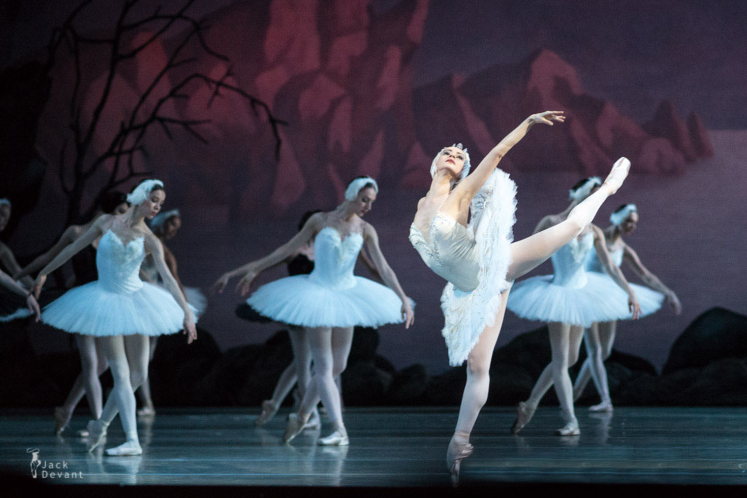 レビュアーのカバー画像