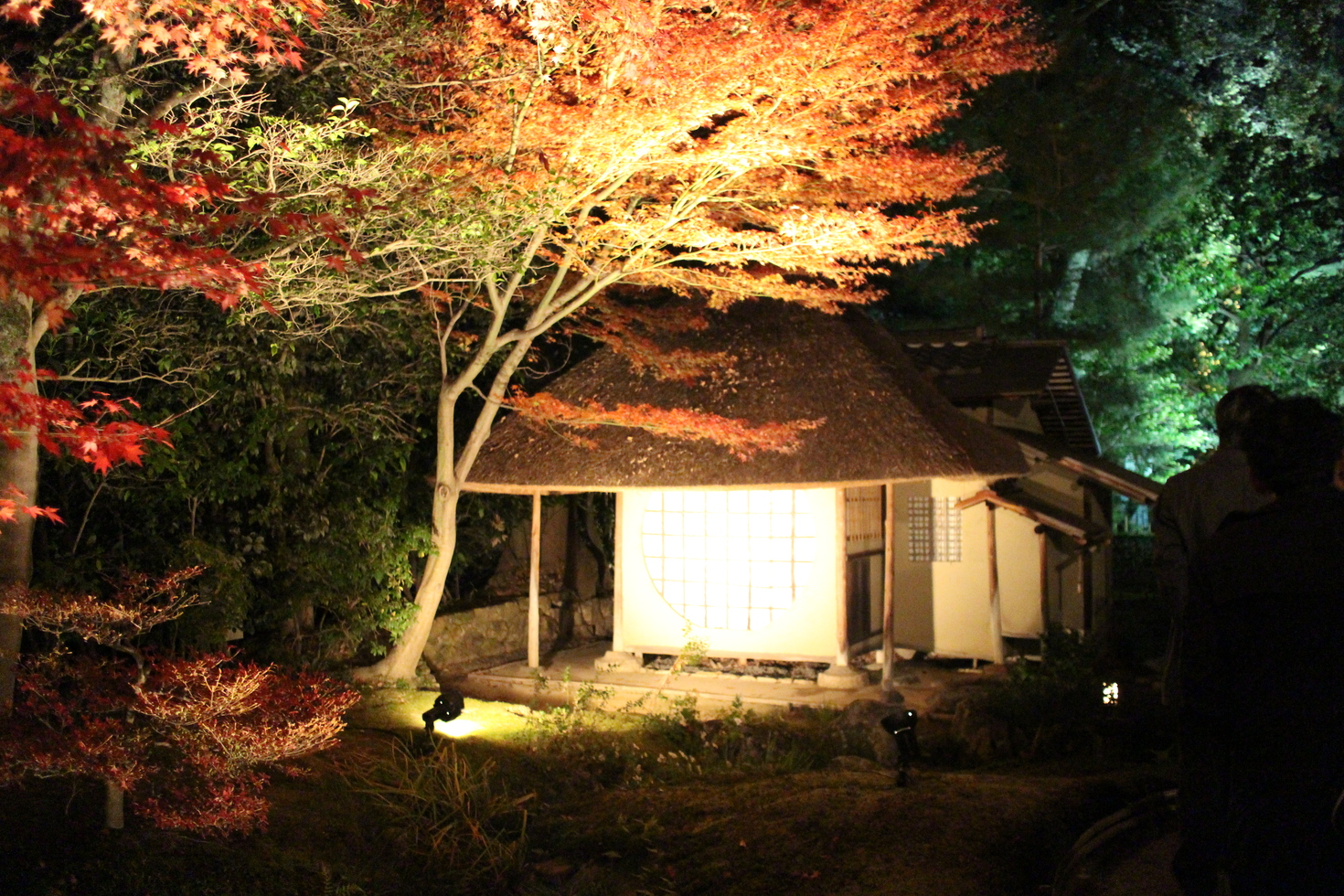 レビュアーのカバー画像