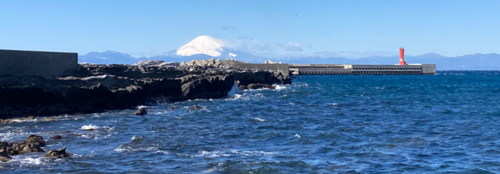 レビュアーのカバー画像