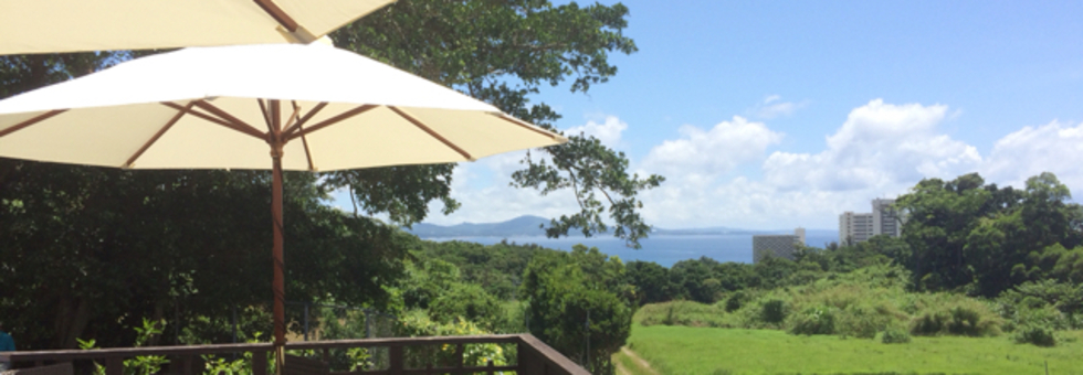 レビュアーのカバー画像