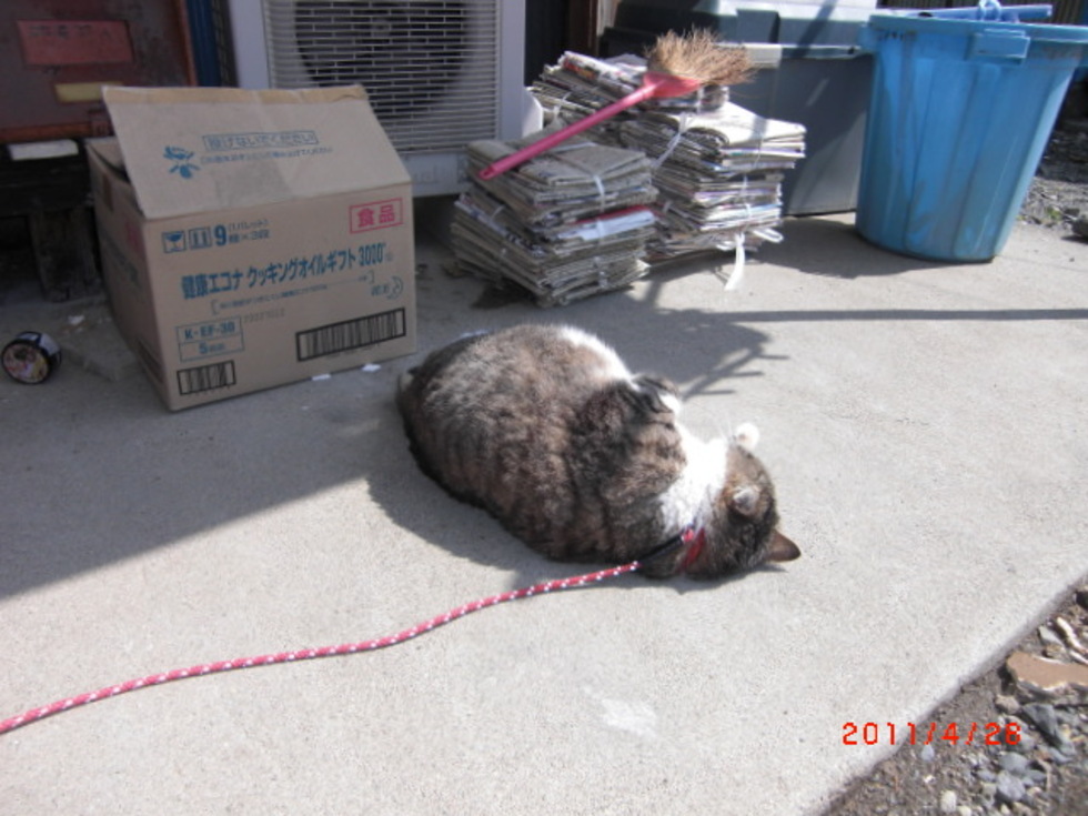 レビュアーのカバー画像