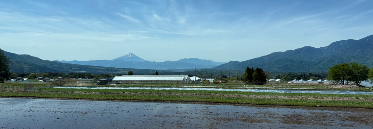 レビュアーのカバー画像