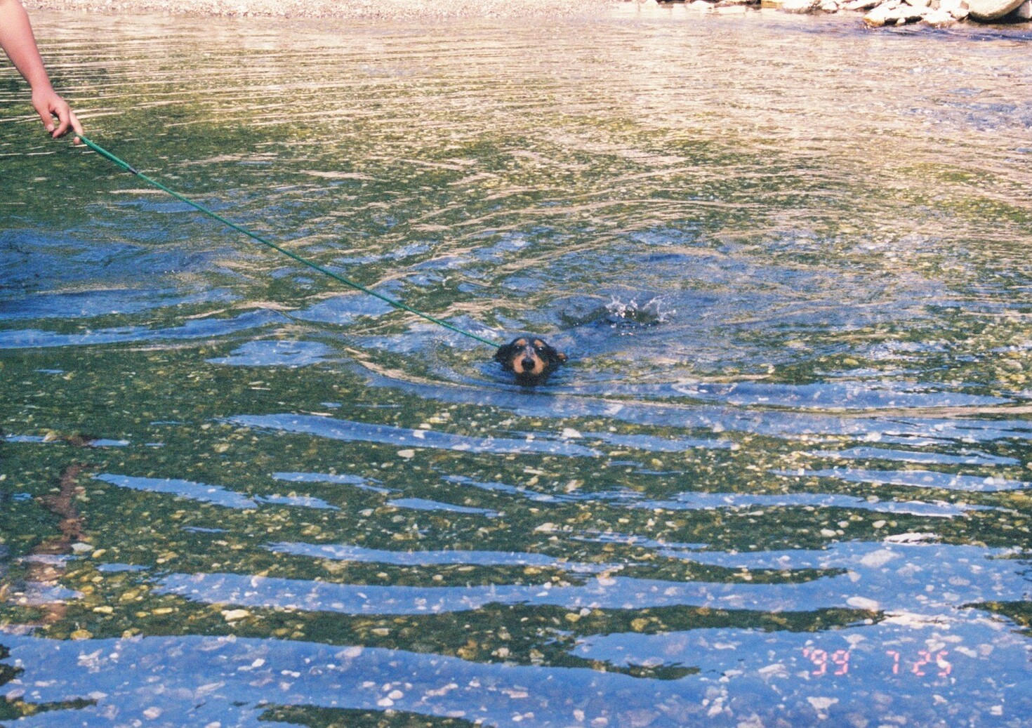 レビュアーのカバー画像