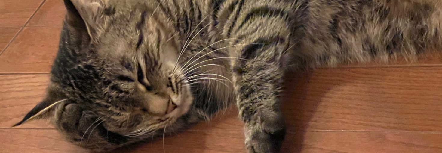 レビュアーのカバー画像