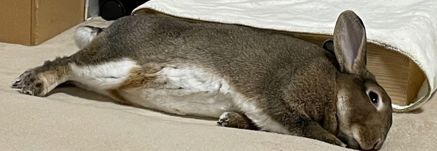 レビュアーのカバー画像