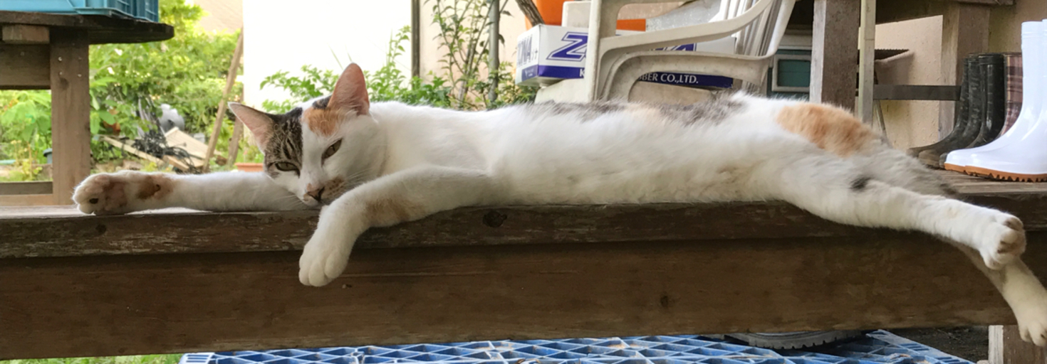 レビュアーのカバー画像