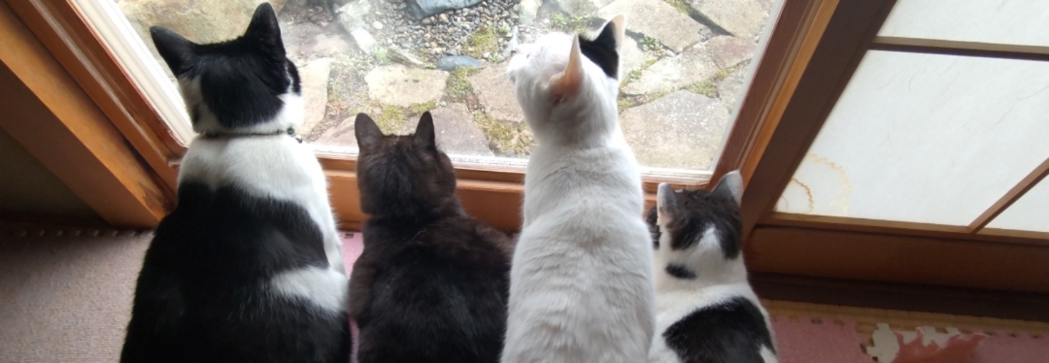 レビュアーのカバー画像