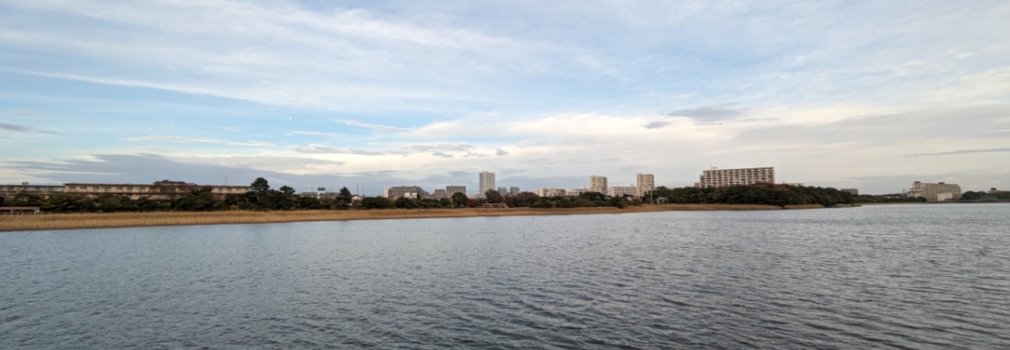 レビュアーのカバー画像