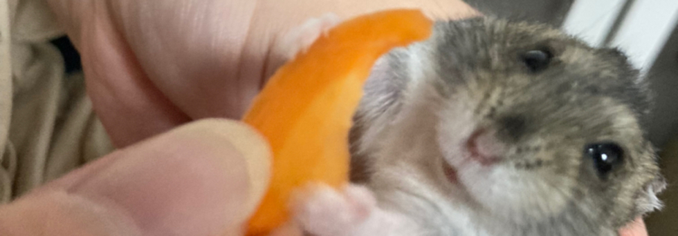 レビュアーのカバー画像