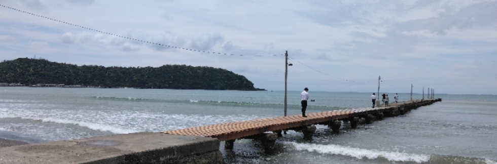 レビュアーのカバー画像