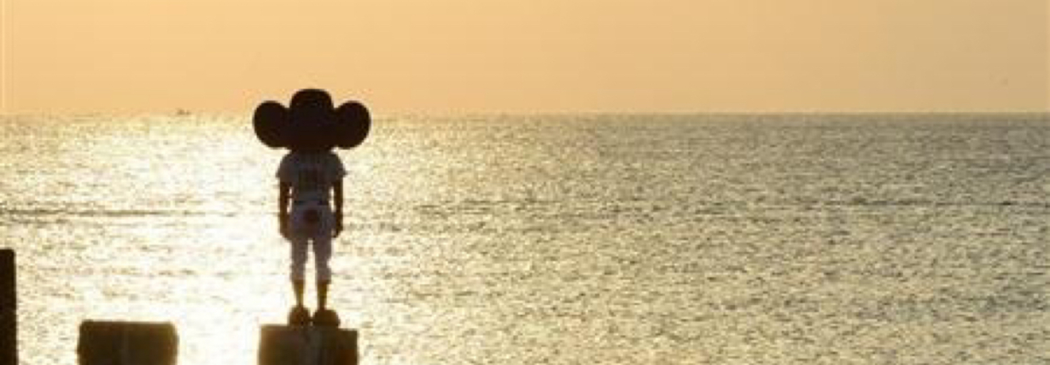 レビュアーのカバー画像