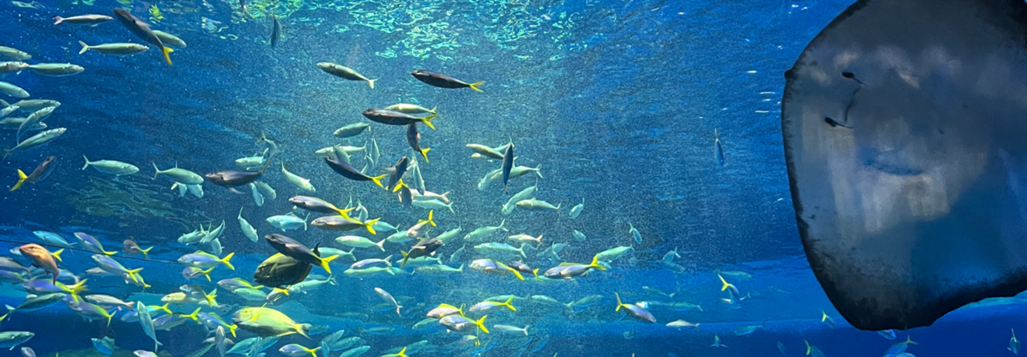 レビュアーのカバー画像