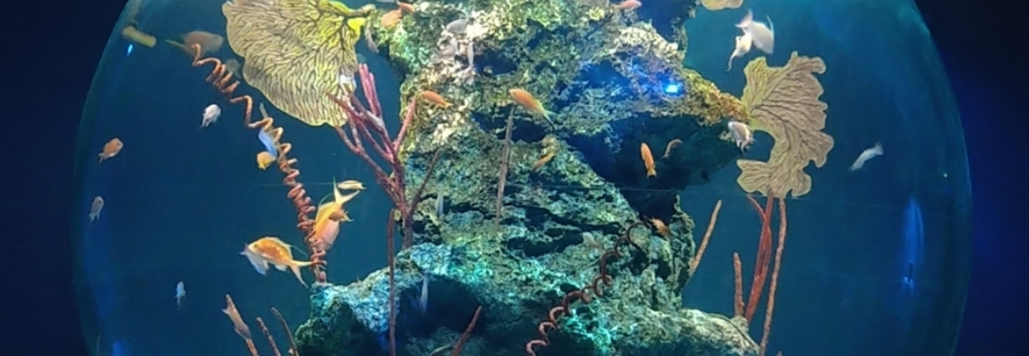 レビュアーのカバー画像